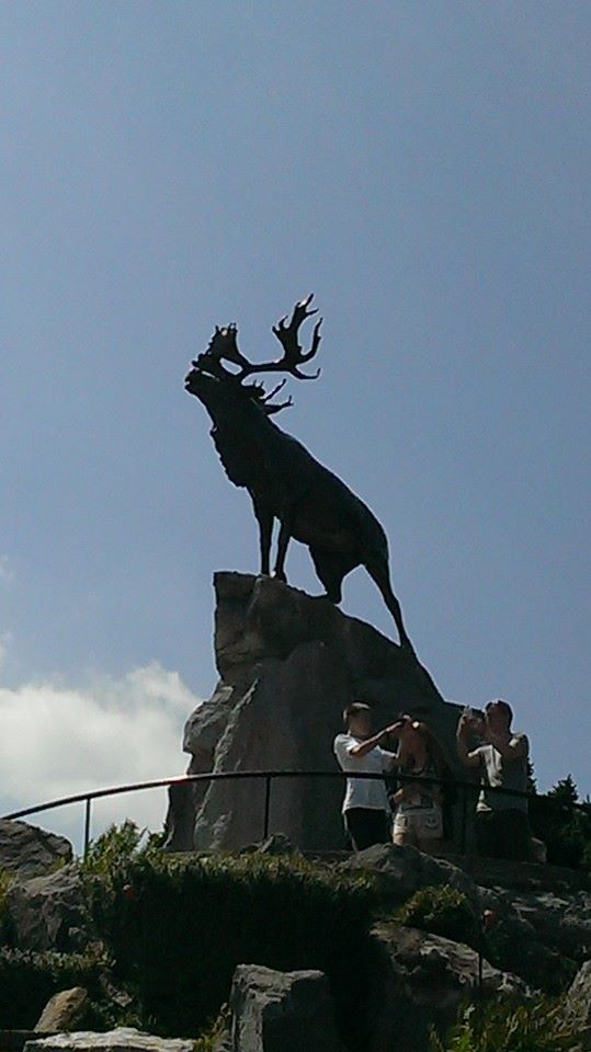 beaumont-hamel-moose